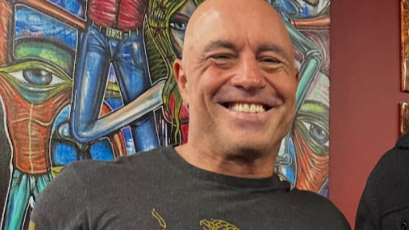 Joe Rogan's Allies Compare Trump Movement to Hitler and Claims MAGA Would 'Grab a Gun' if Ordered at Rally