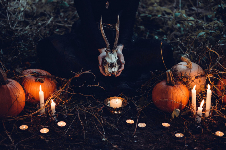 Witchcraft in the Woods