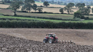 UK Food Shortage