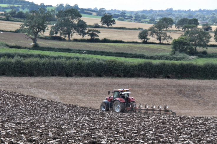 UK Food Shortage