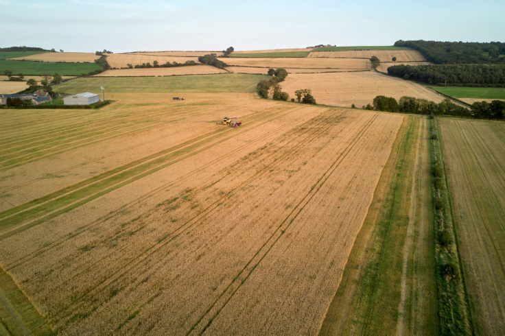 UK Farm Crisis