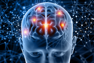 MIT Maps 17 Hidden Brain Regions
