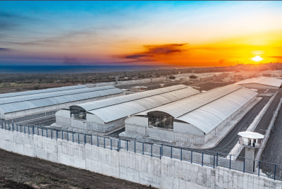 El Salvador Mega Prison - Nigel Farage