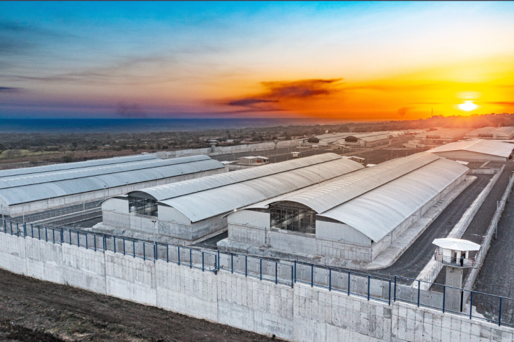 El Salvador Mega Prison - Nigel Farage