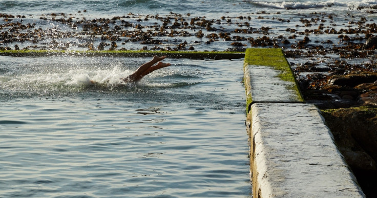 Tidal Pool