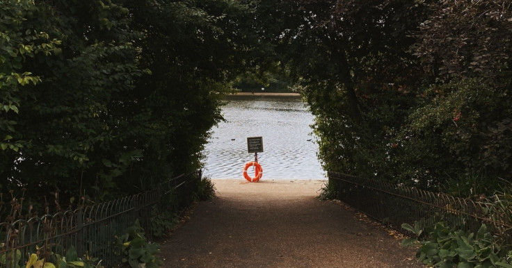 Hamstead Heath, London