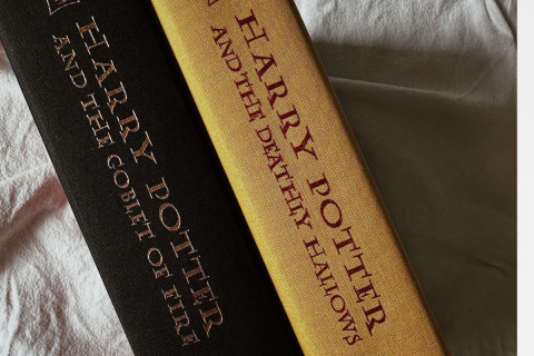 Harry Potter fans