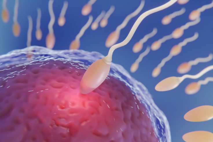 Sperm
