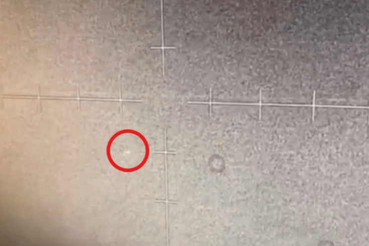 Still frame from a video of a reported 'cold orbs.'