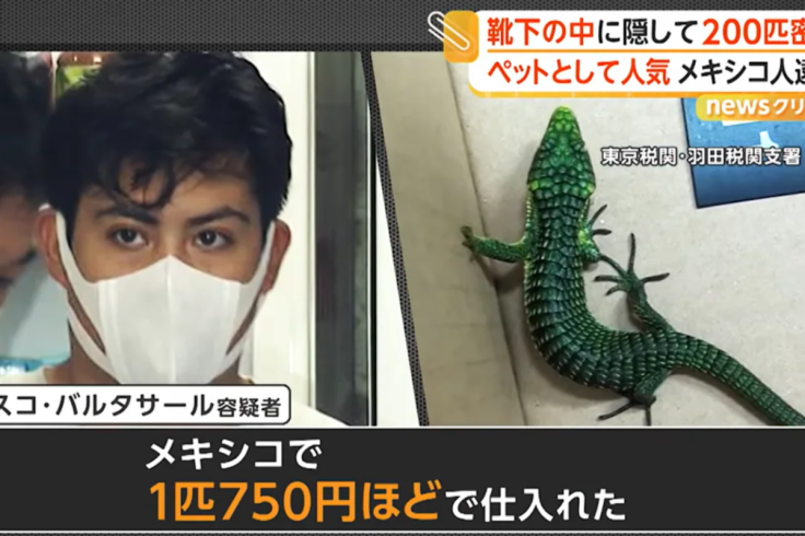 Daniel Isaac Velasco Baltazar, 23, in police custody in Tokyo