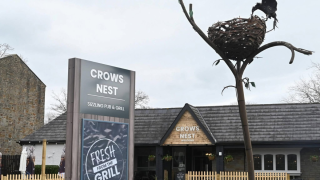 The Crows Nest