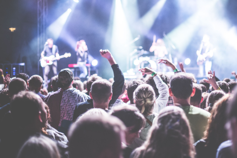 Energetic concert scene with a vibrant audience