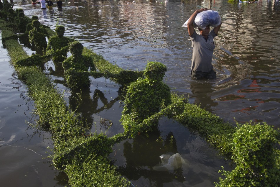 A man wades past sculptured hedges submerged by flood waters in a median in Bangkoks Bang Phlat district