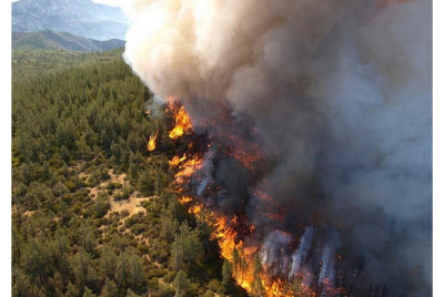 wildfire 1