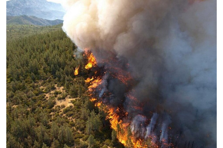 wildfire 1