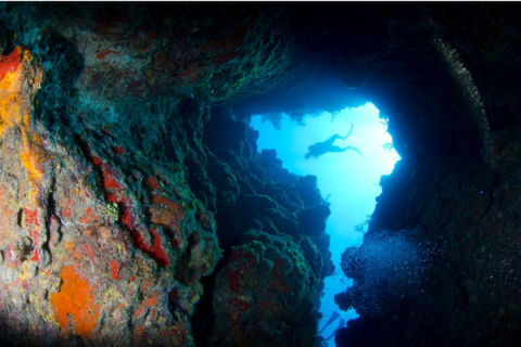 Little Cayman - UNESCO
