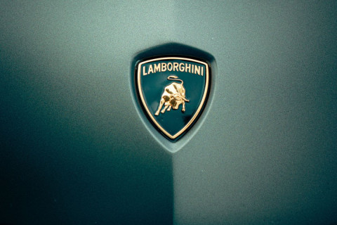 Monir Momani strikes cat that sought shelter on his Lamborghini