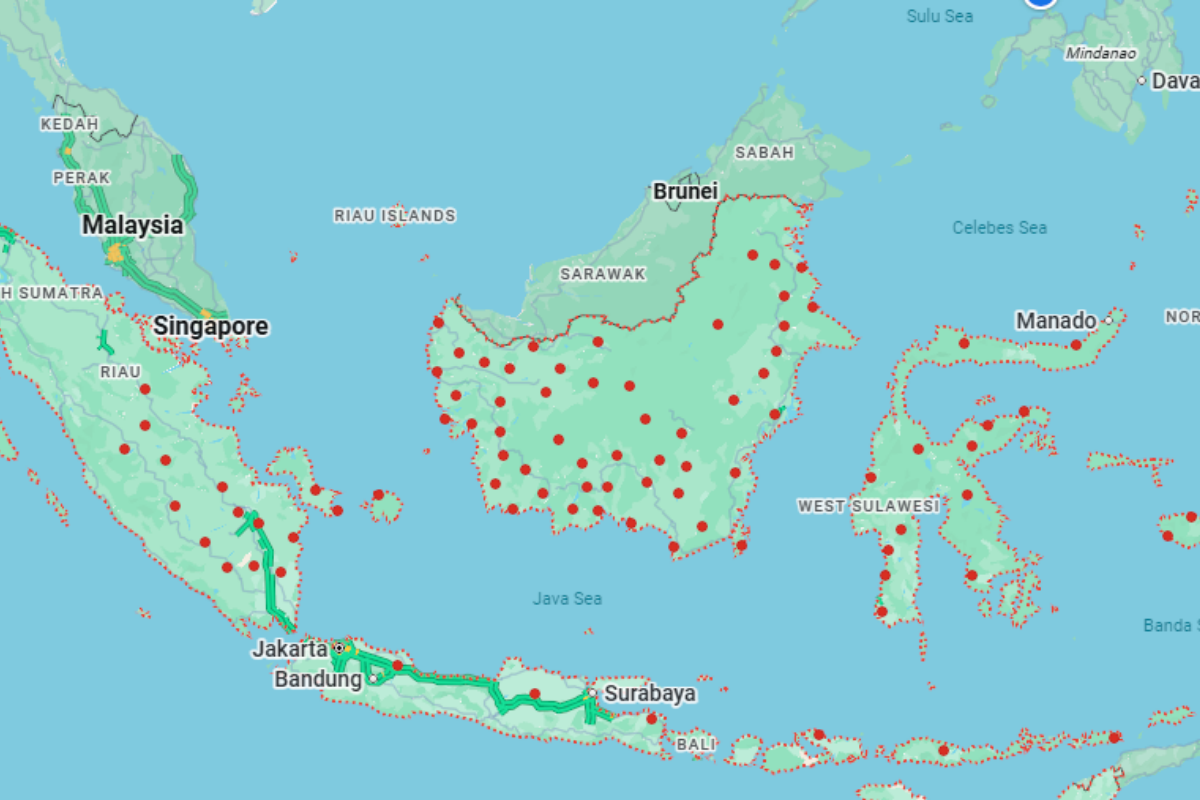 'A Vital Lung of the Earth': Indonesians Beg World for Wildfire Help While Orangutans Flee the Flames