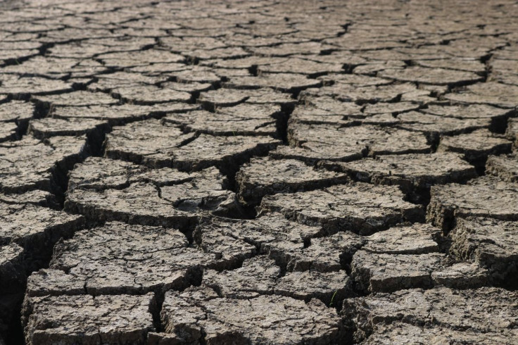 dry-soil-caused-by-heat