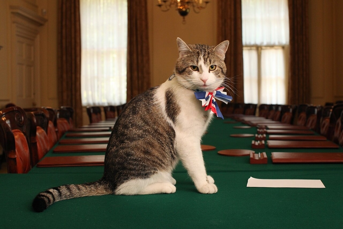 Larry the Cat 'Dead'? No 10 Cat Alive Despite False Reports as Chief Mouser Responds To Hoax on X