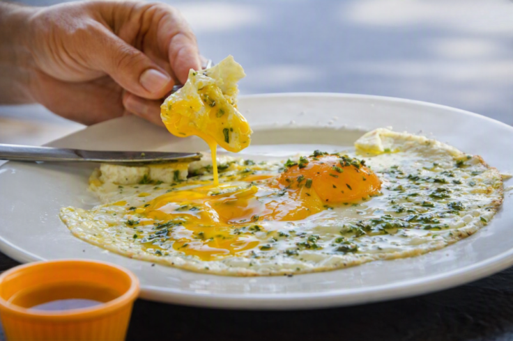 Victor Lab runny egg and spit joke horrified tourist