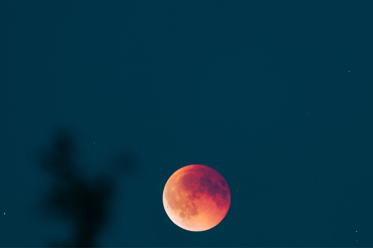 Rare Blood Moon 2026