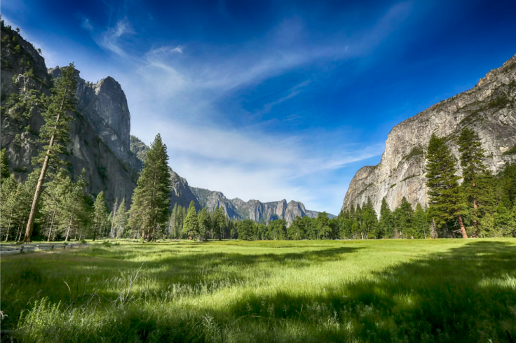Yosemite Land Swap Could Enable Private Road