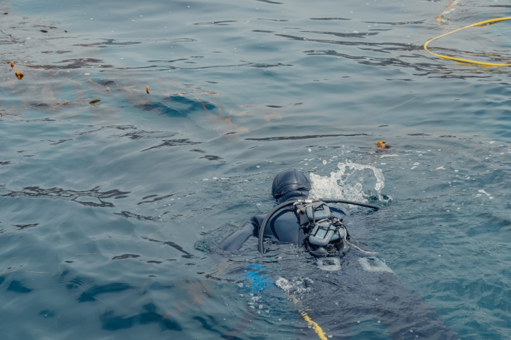 Representative Image of Dive Search