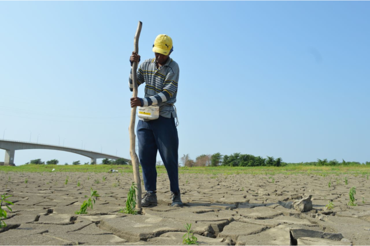 El Niño ‘Supersizing’: What It Means for US and UK