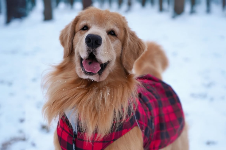 Tucker Budzyn Dies at 8