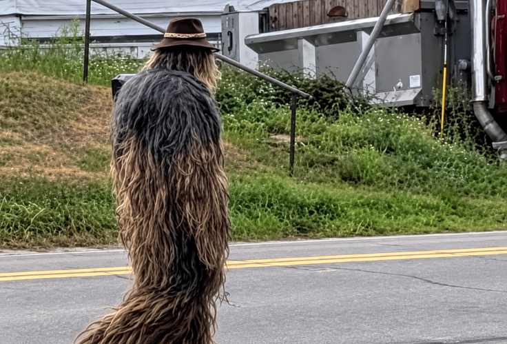 Mysterious 'Bigfoot' man
