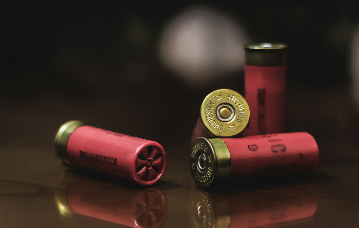 12 Gauge Shotgun Shells
