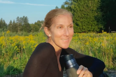 Céline Dion’s Body Double Claims