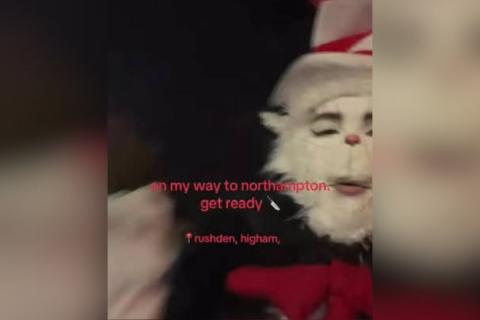 ‘Cat in the Hat’ AI Trend