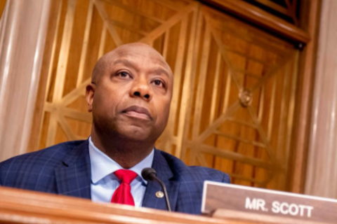 MAGA Tim Scott
