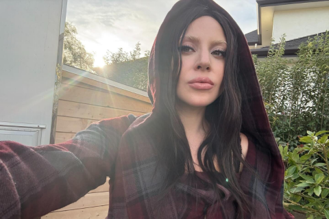 Lady Gaga and Michael Polansky welcomed their first child together