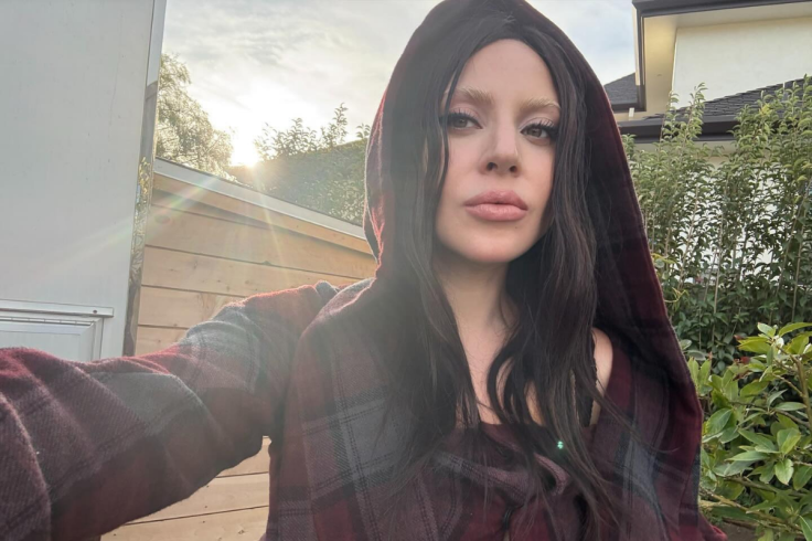 Lady Gaga and Michael Polansky welcomed their first child together