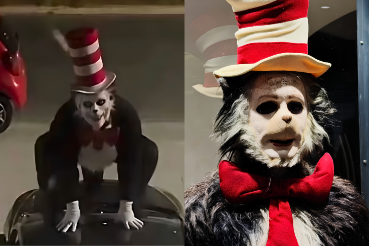 Cat in the Hat