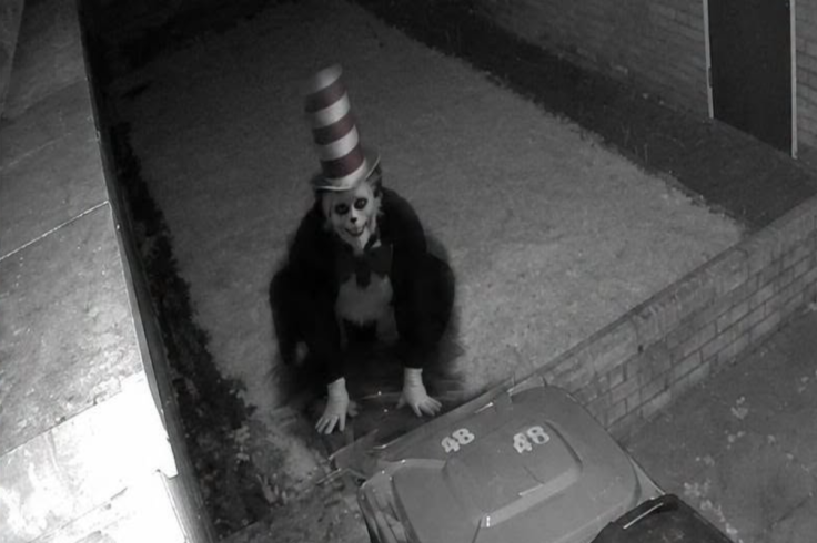 The Cat in the Hat trend spread through social media
