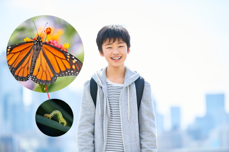 10-Year-Old Boy Scientist Studies Butterfly Memory Across Generations