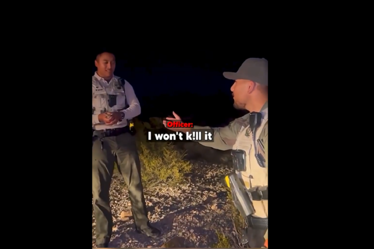 New Mexico deputy rabbit video