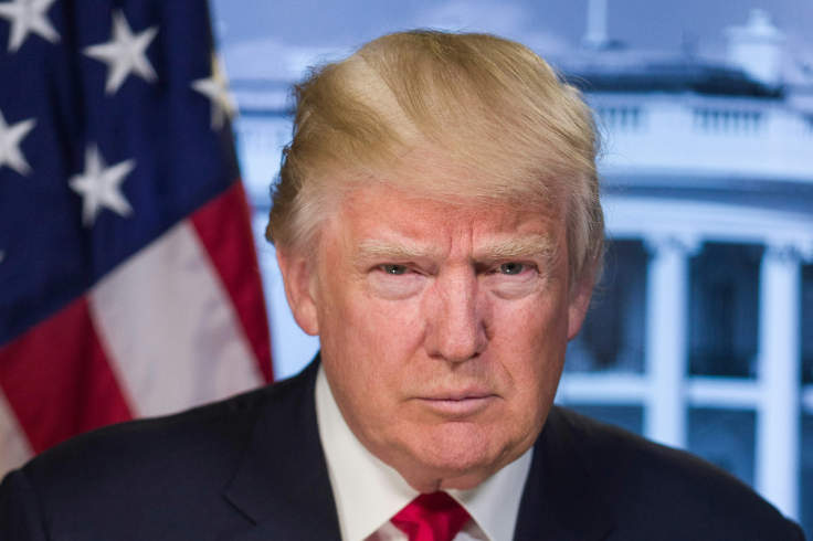 Portrait of President-elect Donald Trump
