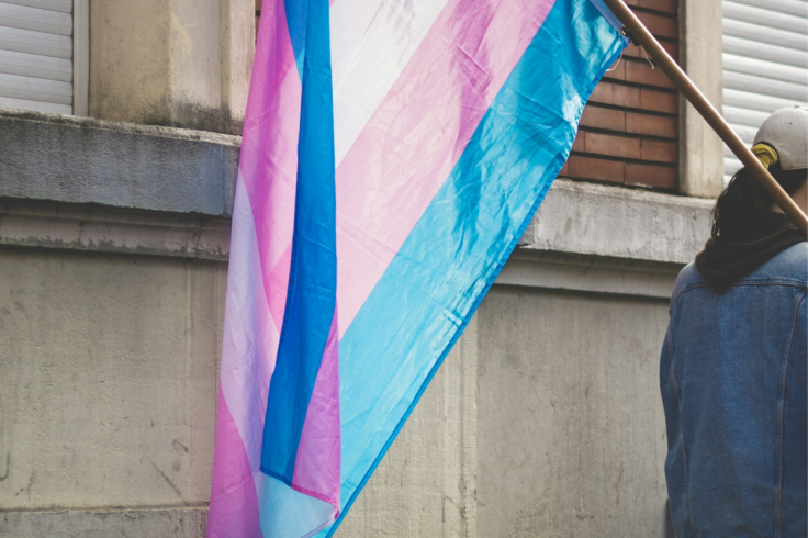 Transgender Flag