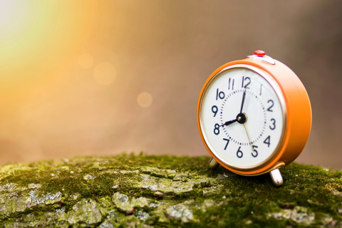 Daylight Saving Bill