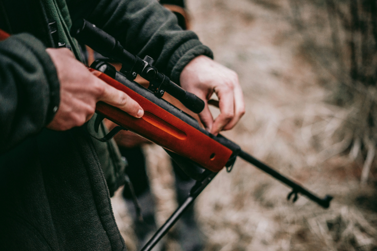 Representative Image of a Hunter