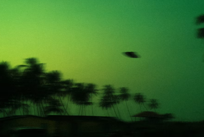 A blurry dark landscape with palm trees