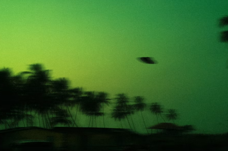 A blurry dark landscape with palm trees