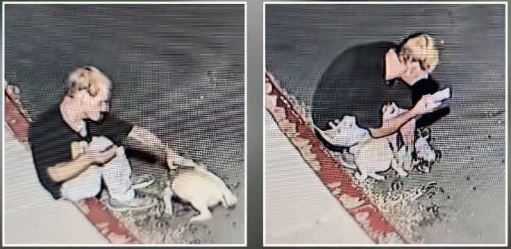 A man reportedly abusing a pug