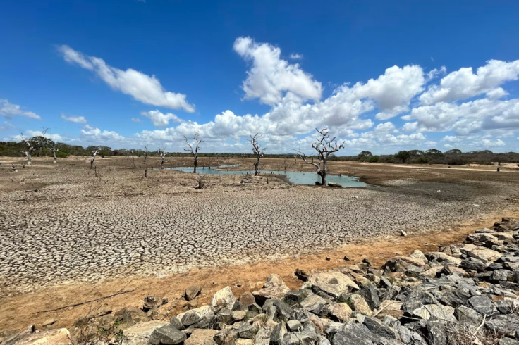 El Niño Heat Could Cause 451,000 Deaths