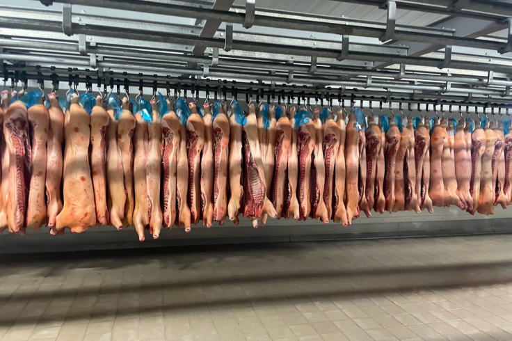 pork processing plant production